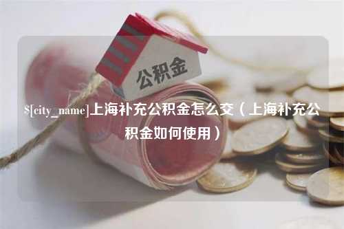 襄垣上海补充公积金怎么交（上海补充公积金如何使用）